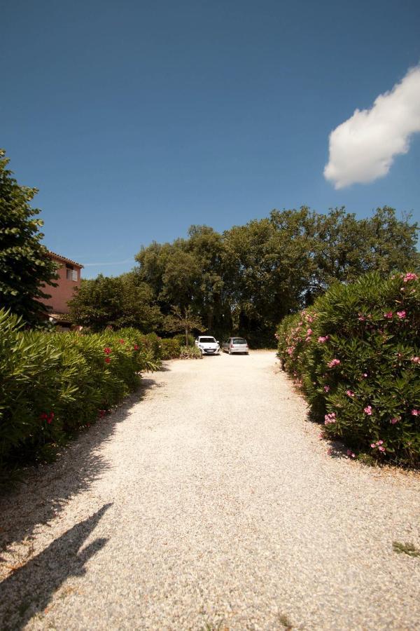 Le Mas Du Bijou Bleu Puget-sur Argens Exterior photo